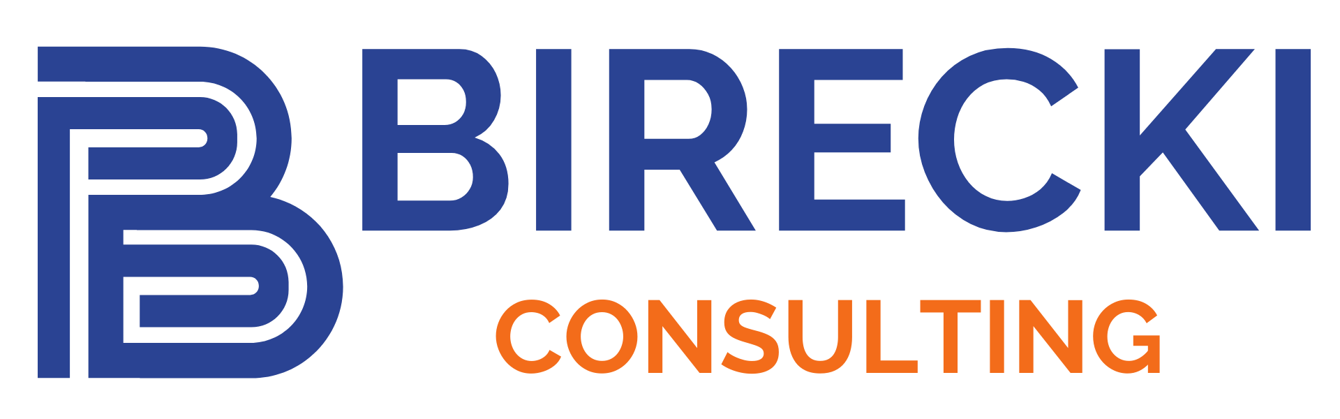 BireckiConsulting — logo